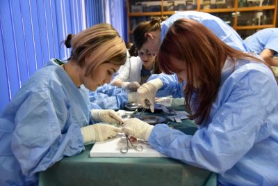 Basic Surgical Skills la cea de-a VII-a ediție