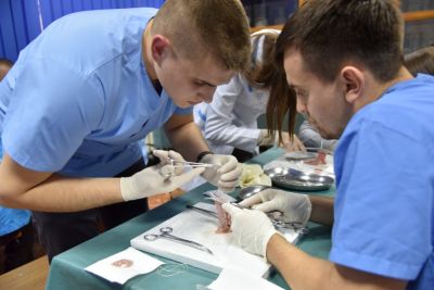 Basic Surgical Skills la cea de-a VII-a ediție